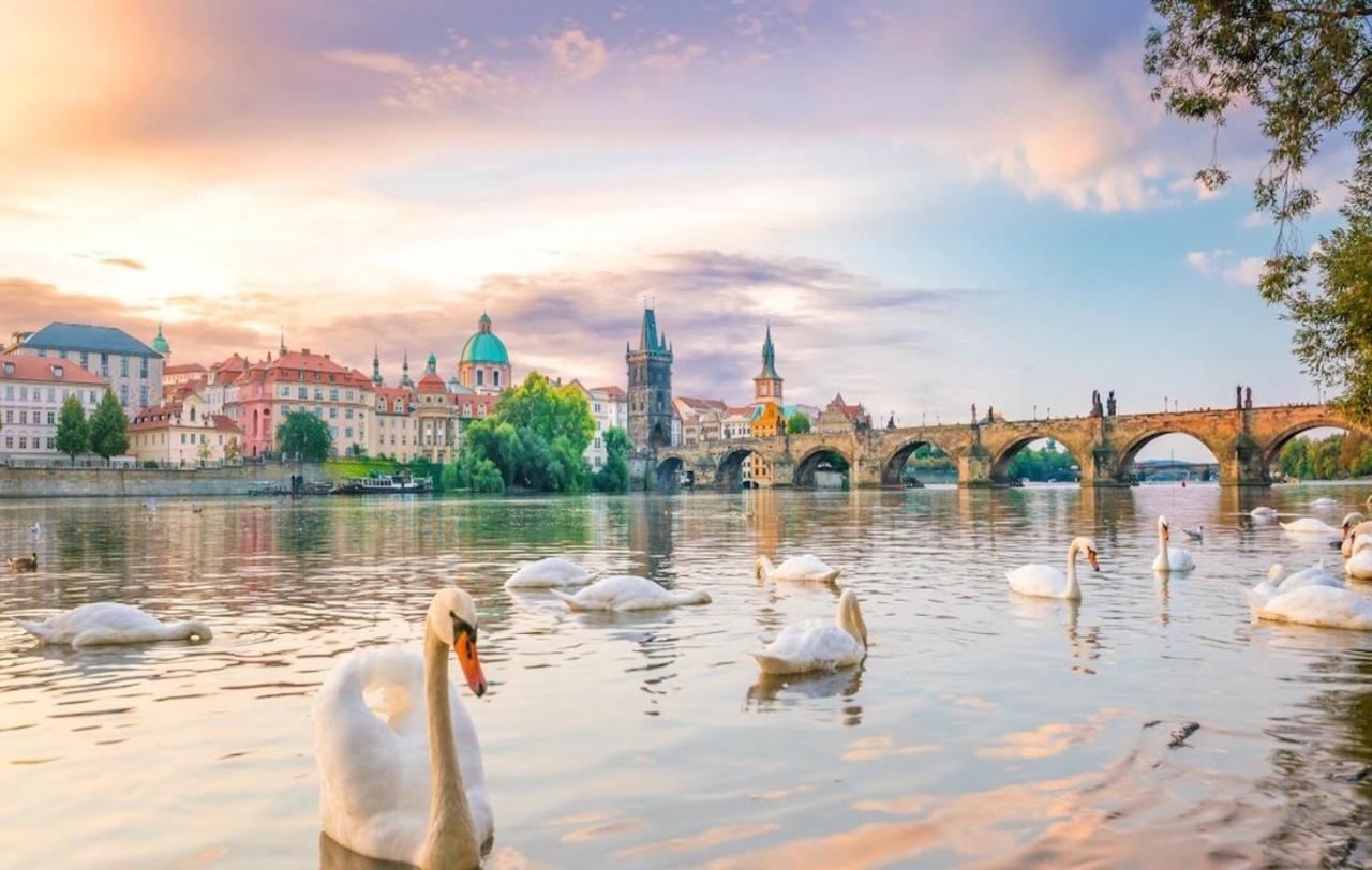 White Swan Boutique Apartments Prag Eksteriør billede